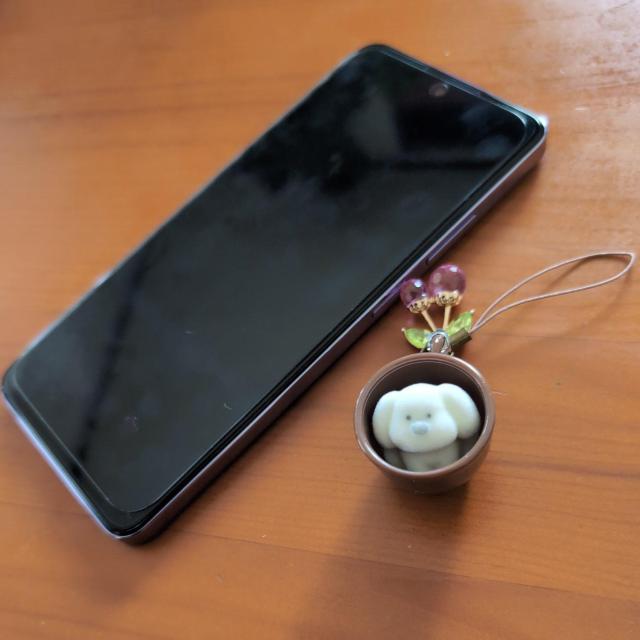 }CNeB[JbvgCv[h`[  zr[ 