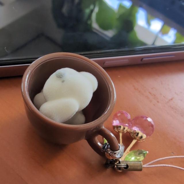 }CNeB[JbvgCv[h`[  zr[ 