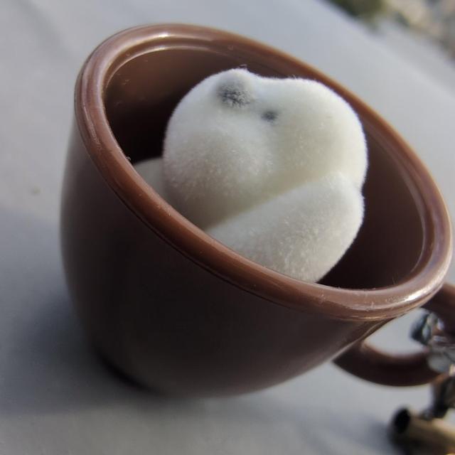 }CNeB[JbvgCv[h`[  zr[ 