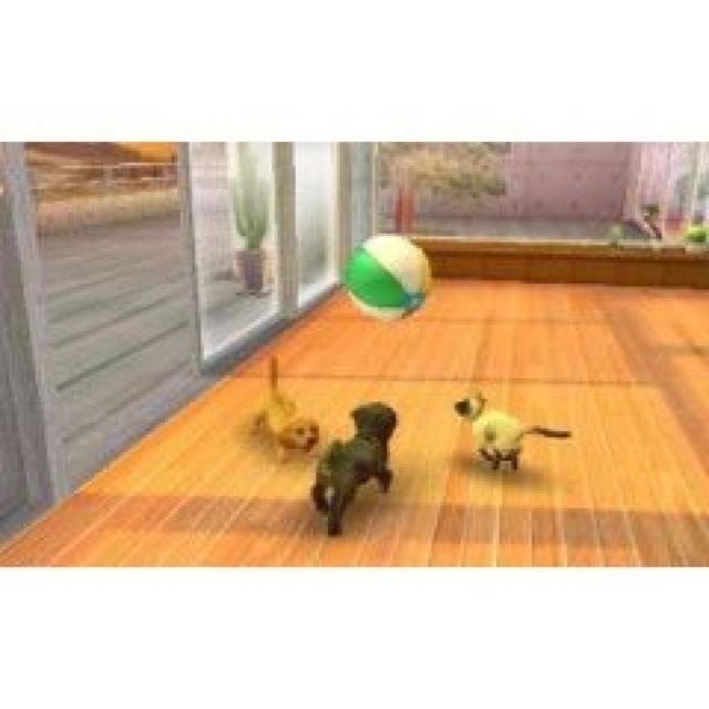 sNewt<3DS>Nintendogs+cats 3DVi[J]  Q[{/\tg 