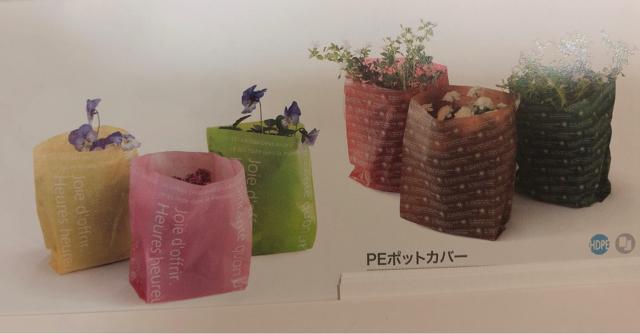 PE|bgJo[ 660   CeA/Ct 