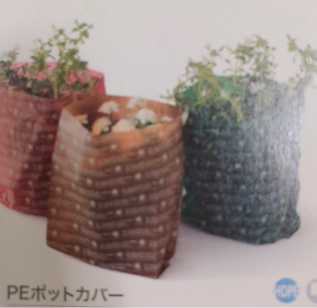 PE|bgJo[ 660  CeA/Ct 