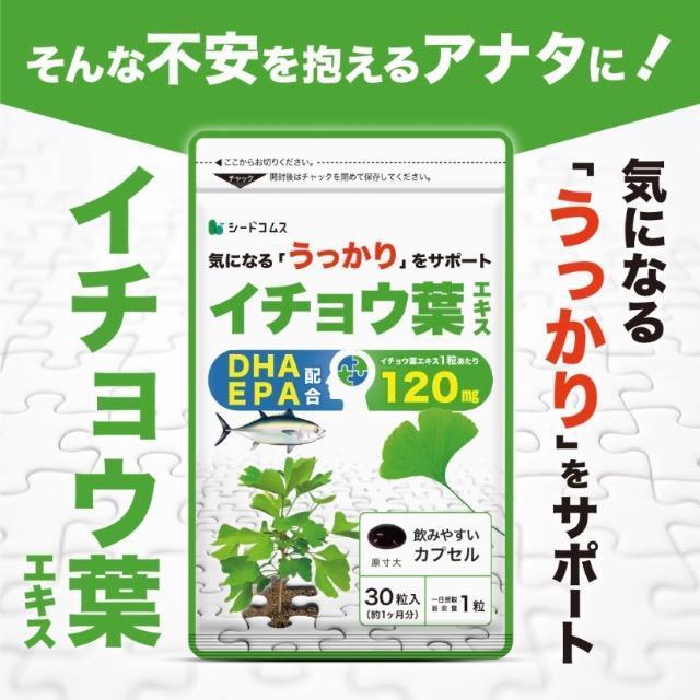 イチョウ葉エキス サプリメント 約1ヵ月分 DHA EPA配合 健康食品 < グルメ/ドリンク  イチョウ葉エキス サプリメント 約1ヵ月分 DHA EPA配合 健康食品 < グルメ/ドリンクの