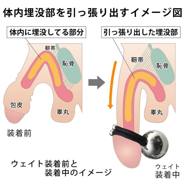 yjX yjX yjXO N}bL[EFCg200CRubNh~Xgbvt sO Z R  wX/r[eB[ 