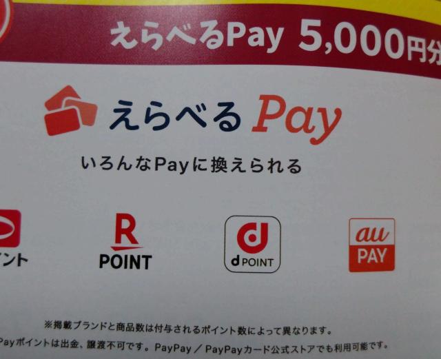 選べるPay5000円1000名当たる/1口 < チケット/金券  選べるPay5000円1000名当たる/1口  < チケット/金券の
