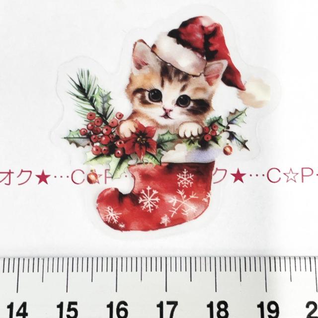 Xg􃌃gȃNX}XR[WV[72   CeA/Ct 