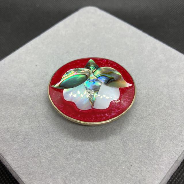  ALPACA MEXICO u[`  ANZT[/v 