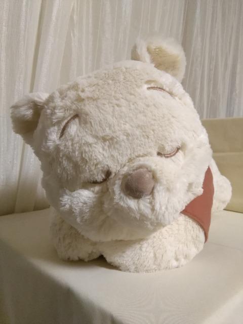 ܂̃v[(FDM)قnj[BIGʂ݁@ 