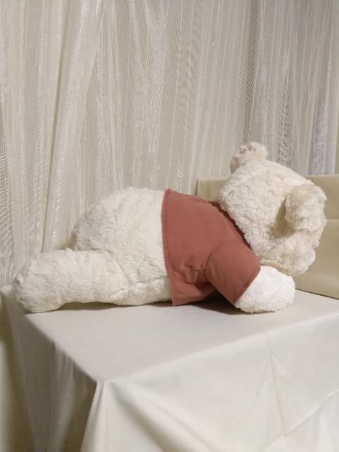 ܂̃v[(FDM)قnj[BIGʂ݁@