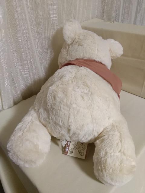 ܂̃v[(FDM)قnj[BIGʂ݁@