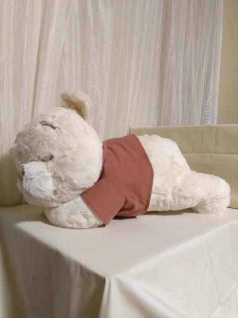 ܂̃v[(FDM)قnj[BIGʂ݁@