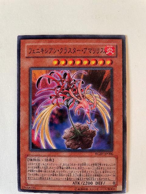 遊戯王【炎・フェニキシアンクラスターアマリリス】 < トレーディングカード  遊戯王【炎・フェニキシアンクラスターアマリリス】  < トレーディングカードの