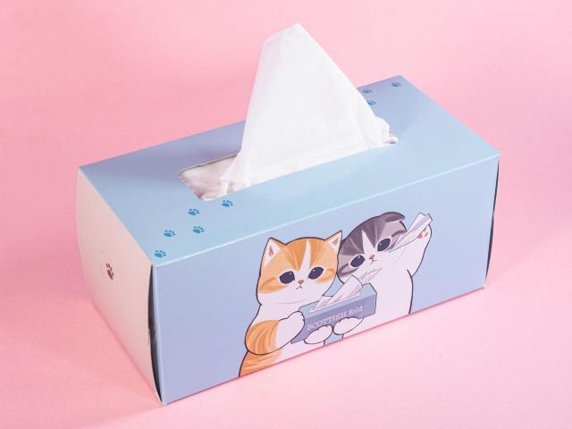 tTh BOXeBbV(440 220g) tɂ  t@~}