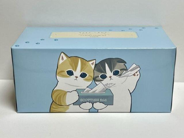 tTh BOXeBbV(440 220g) tɂ  t@~}