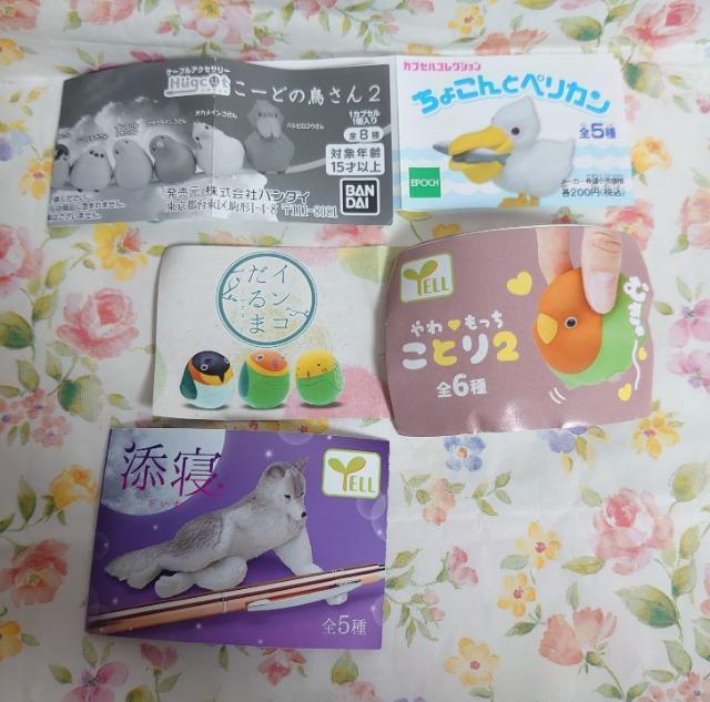 y`OzK`K`wx6_Zbg  zr[ 