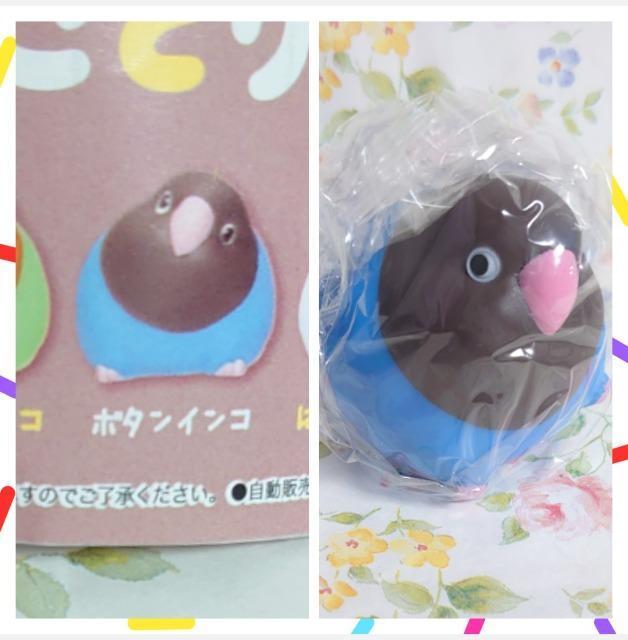 y`OzK`K`wx6_Zbg  zr[ 