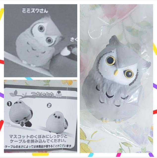 y`OzK`K`wx6_Zbg  zr[ 