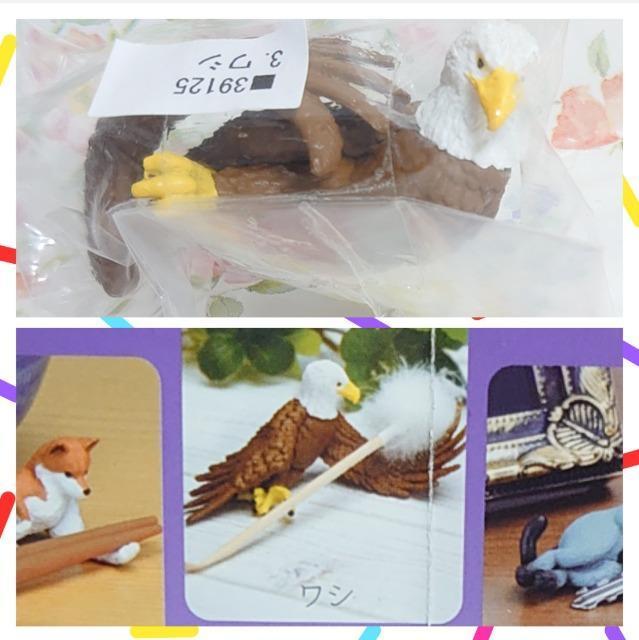 y`OzK`K`wx6_Zbg  zr[ 