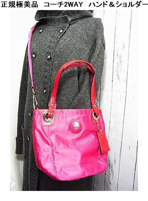 500~X^Kɔi@R[`2WAY@nhV_[obN14417