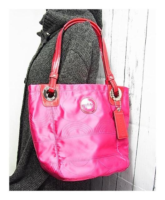 500~X^Kɔi@R[`2WAY@nhV_[obN14417