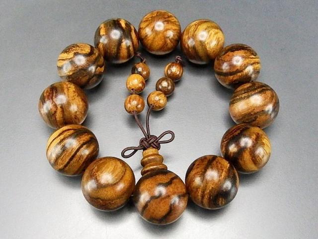 VRtؖ20mmʖؐqʕtOuXbg   jANZT[/v 