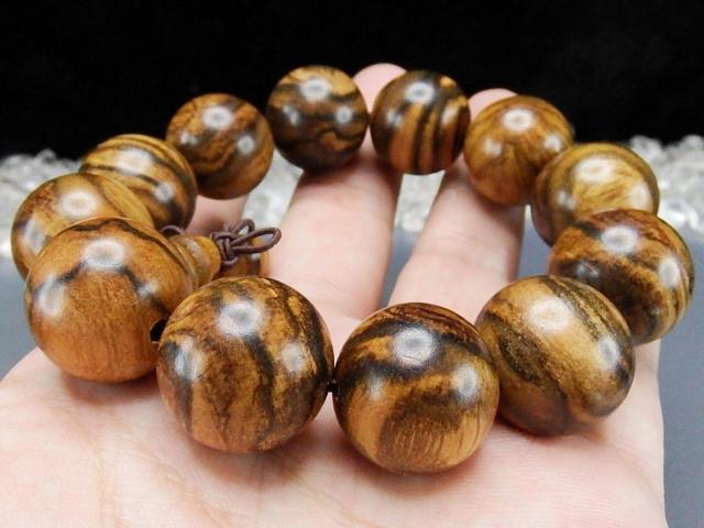 VRtؖ20mmʖؐqʕtOuXbg  jANZT[/v 