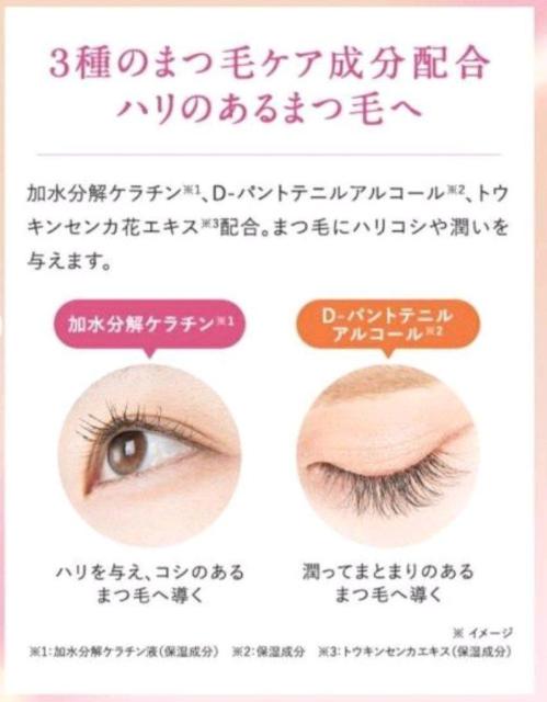 �p�[�t�F�N�g�����@��pSP�����N���`���[���N���[���@15g�@��2�J���� �� �u�����h�� 