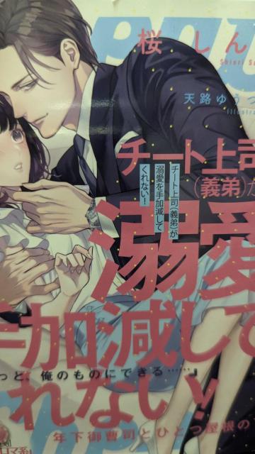 チート上司(義弟)が溺愛を手加減してくれない★桜しんり★オパール文庫 < 本/雑誌 チート上司(義弟)が溺愛を手加減してくれない★桜しんり★オパール文庫 < 本/雑誌の