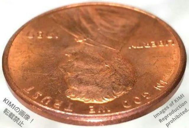 1Zgd 1989 AJO J[ 1Zgd 1yj[  zr[ 