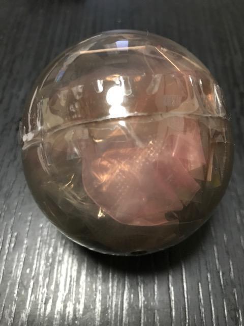 いきもの大図鑑 くわがた06 バリーフタマタクワガタ 未開封 < ホビー  いきもの大図鑑 くわがた06 バリーフタマタクワガタ 未開封  < ホビーの