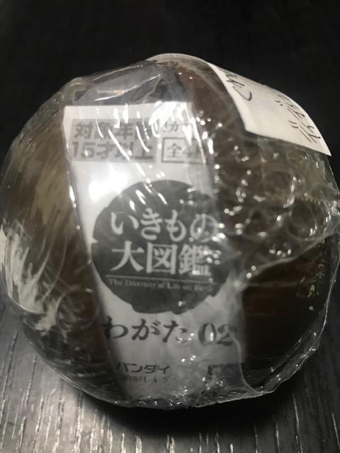 ̑}Ӂ@킪02 fBfBG[VJNK^@J   zr[ 