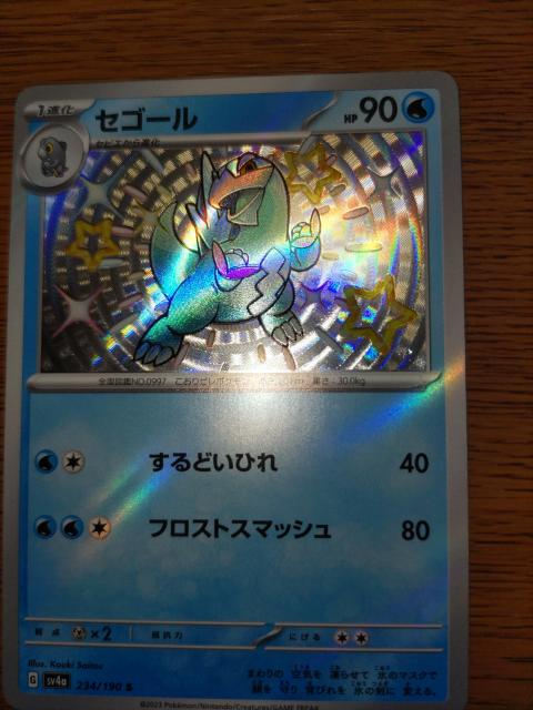 ポケモンカード*セゴール*開封後スリーブ保管 < トレーディングカード  ポケモンカード*セゴール*開封後スリーブ保管 < トレーディングカードの