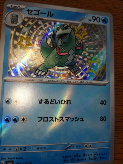 ポケモンカード*セゴール*開封後スリーブ保管 < トレーディングカード  ポケモンカード*セゴール*開封後スリーブ保管 < トレーディングカードの
