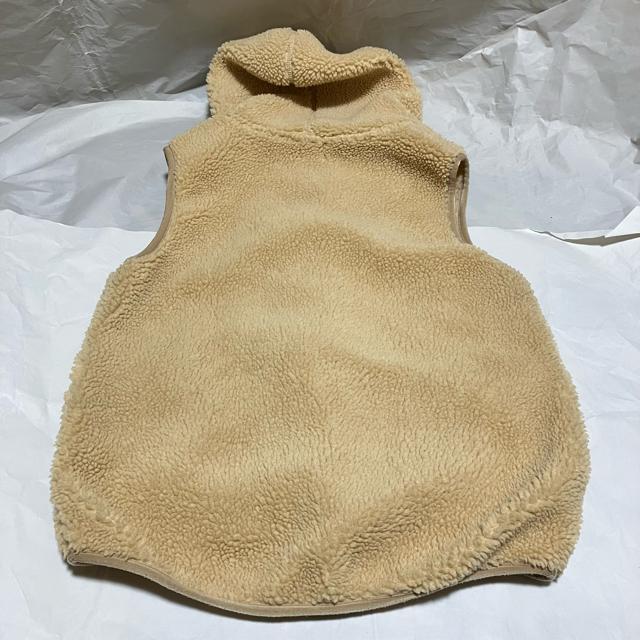 yGymphlex / WtbNXz {A / m[X[u xXg 14  uh 