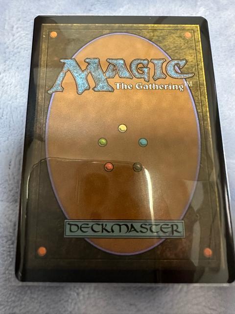 MTG �Q�܂��m���@�G�b�`���O �� �g���[�f�B���O�J�[�h�� 