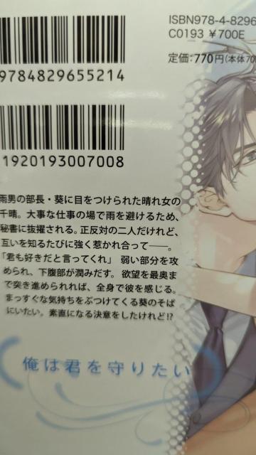 恋する雨男くんエリート御曹司は私限定ストーカー★東万里央★オパール文庫 < 本/雑誌 恋する雨男くんエリート御曹司は私限定ストーカー★東万里央★オパール文庫 < 本/雑誌の