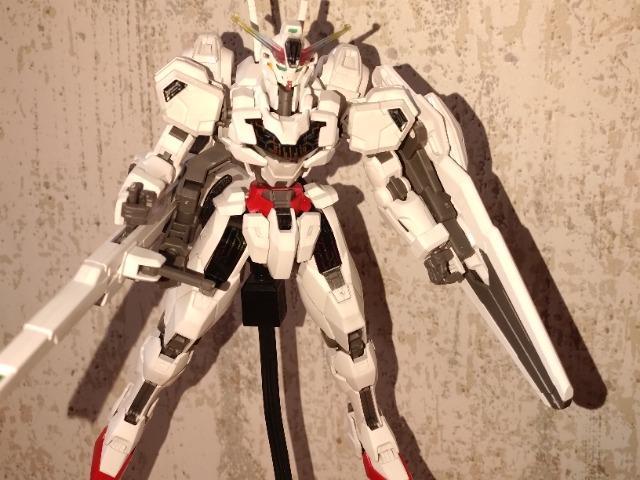 HG1/144�K���_���L�����o�[�������i