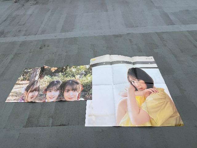 乃木坂46ポスター < タレントグッズ  乃木坂46ポスター < タレントグッズの