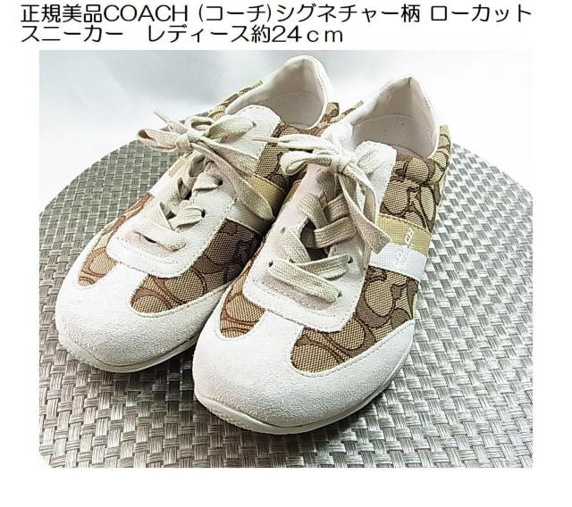 ǕiKiCOACH (R[`)VOl`[ [JbgXj[J[@fB[X24 