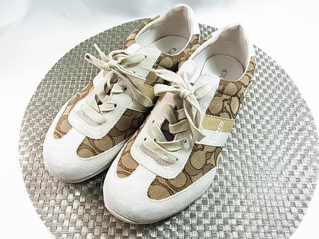 ǕiKiCOACH (R[`)VOl`[ [JbgXj[J[@fB[X24