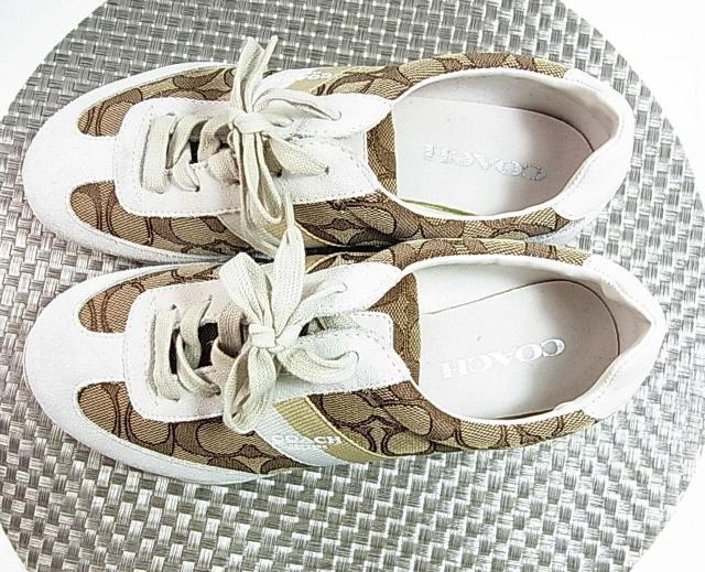 ǕiKiCOACH (R[`)VOl`[ [JbgXj[J[@fB[X24