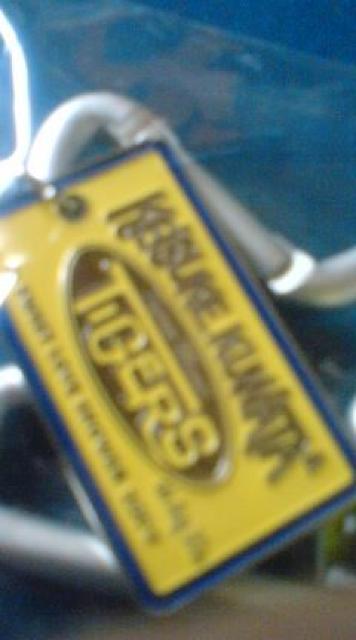 桑田佳祐09夏フェス携帯ストラップ未使用未開封品 < タレントグッズ  桑田佳祐09夏フェス携帯ストラップ未使用未開封品 < タレントグッズの