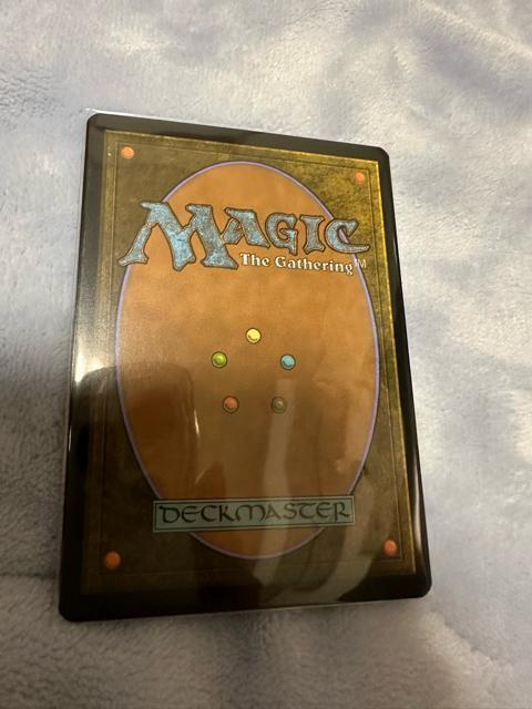 MTG ���F�[���̃����A�i�@�{�[�_�[���X �� �g���[�f�B���O�J�[�h�� 