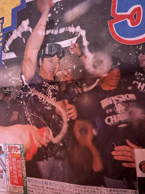 ��J�ĕ�54���z�[������ 4�A�e�̃f�B���[�X�|�[�c�V�� �V�i���g�p�i�����A !�B �� �z�r�[�� 