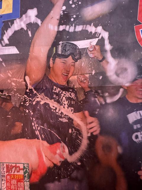 ��J�ĕ�54���z�[������ 4�A�e�̃f�B���[�X�|�[�c�V�� �V�i���g�p�i�����A !�B �� �z�r�[�� 