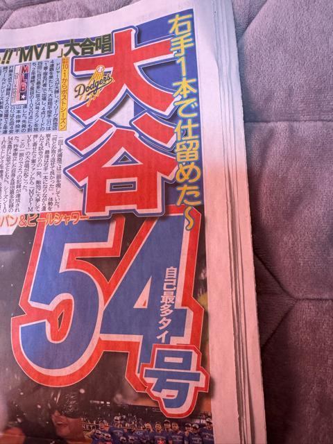 ��J�ĕ�54���z�[������ 4�A�e�̃f�B���[�X�|�[�c�V�� �V�i���g�p�i�����A !�B �� �z�r�[�� 