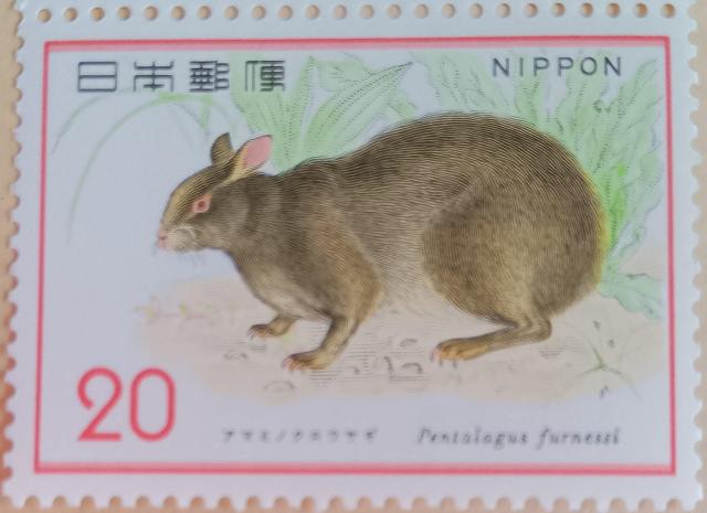 ☆20円切手×1枚☆ ☆アマミノクロウサギ☆ < ホビー ☆20円切手×1枚☆ ☆アマミノクロウサギ☆ < ホビーの