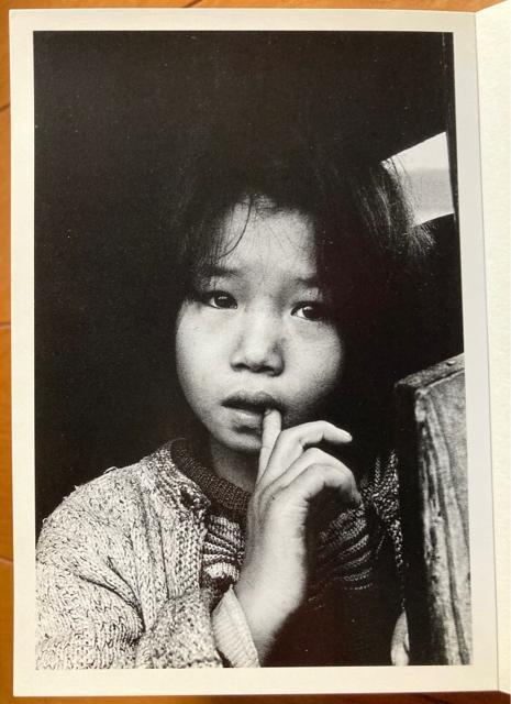 y匝̓{@OEEâǂ@|XgJ[h24Zbg 2ꊇ(m) Vi v48({̗lɕБ\荞)  {/G 