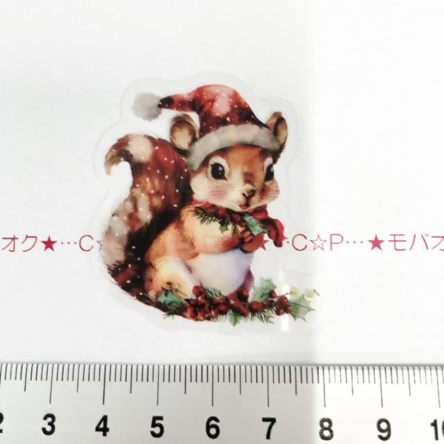 Xg􃌃gȃNX}XR[WV[82   CeA/Ct 