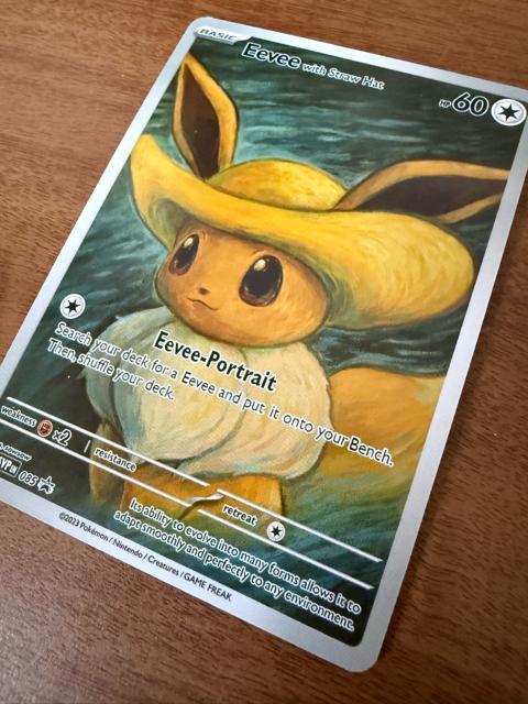 �|�P�����J�[�h �C�[�u�C �S�b�z�W �S�b�z���p�� ������ �� �g���[�f�B���O�J�[�h�� 